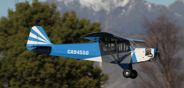 Cub